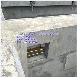 思綠環保 化州人工濕地廢水處理工程，科技與自然共筑綠水青山